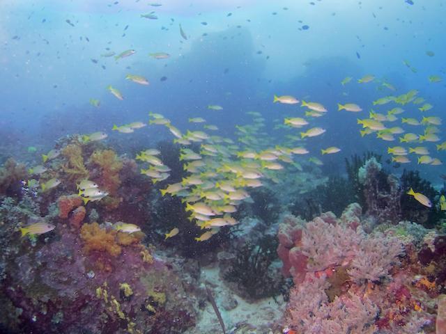 Nomad Divers Bangka Likupang Luaran gambar