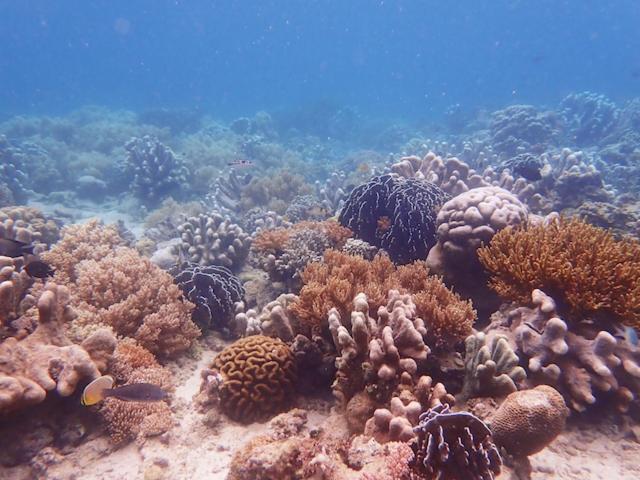 Nomad Divers Bangka Likupang Luaran gambar